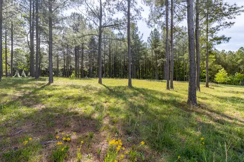 1600 Raulston Falls Rd #LOT SV320, Jasper, TN 37347