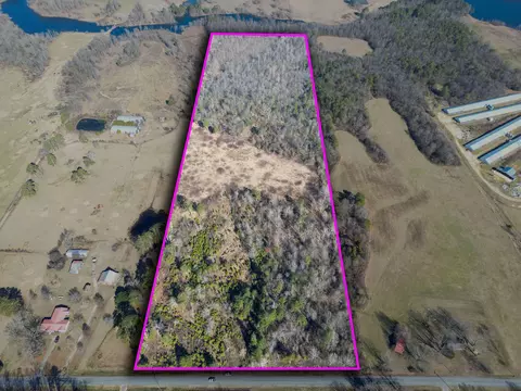 40 Acs County Road 322, Henagar, AL 35978