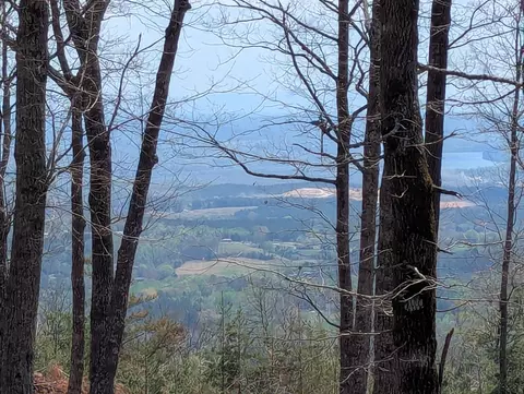 lot17 Duckwood Ln, Evensville, TN 37332