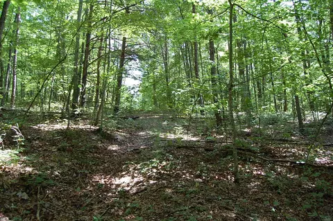 0 Elk Dr, Dunlap, TN 37327 photo 3