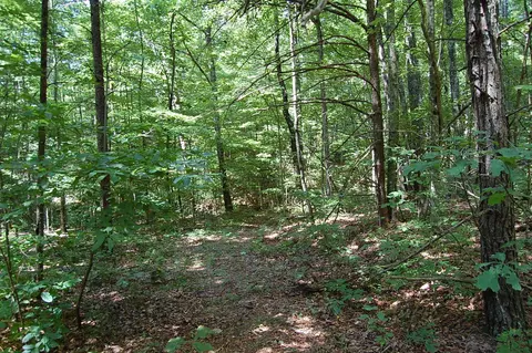 0 Elk Dr, Dunlap, TN 37327 photo 2
