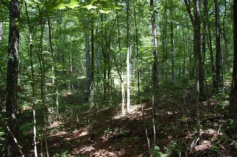 0 Elk Dr, Dunlap, TN 37327 photo 4