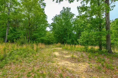 0 Moonlight Ln #JF444, Jasper, TN 37347