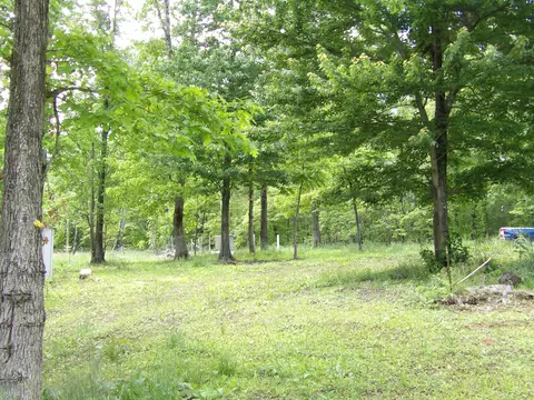 00 Kerley Rd, Spring City, TN 37381