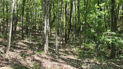 705 Crockett Loop #JF-67, Jasper, TN 37347 photo 15