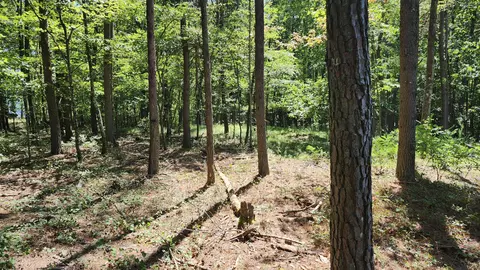 705 Crockett Loop #JF-67, Jasper, TN 37347 photo 3