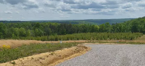 47 Pineview Rd #47, Dunlap, TN 37327