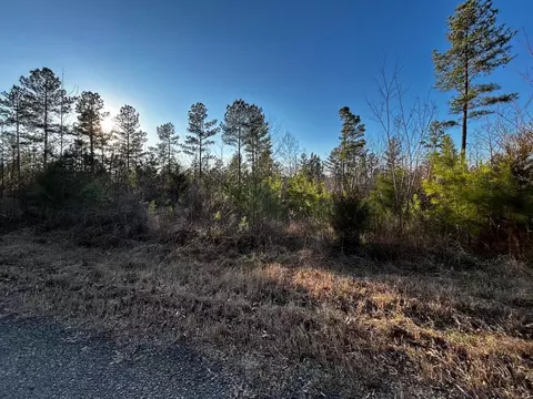 Tract 10 Johns Road, Decatur, TN 37322