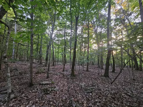 3 Sewanee Summit Rd #2 AND 3, Decherd, TN 37324