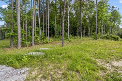 1109 Birds Eye Way, Guild, TN 37340 photo 4