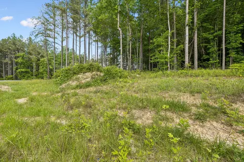 1109 Birds Eye Way, Guild, TN 37340 photo 6