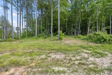 1109 Birds Eye Way, Guild, TN 37340 photo 5