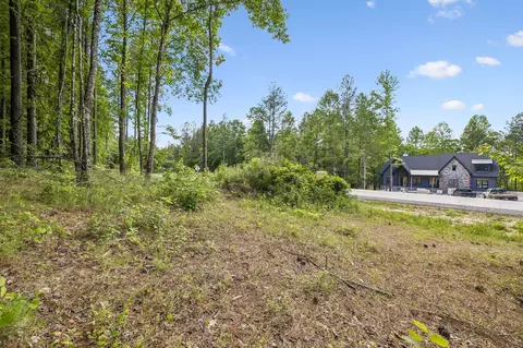 1109 Birds Eye Way, Guild, TN 37340 photo 7