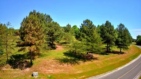 1899 River Bluffs Dr, Jasper, TN 37347 photo 3