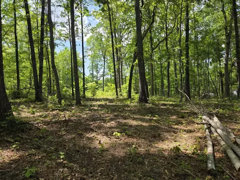 000 Ski View Dr, Dunlap, TN 37327 photo 6