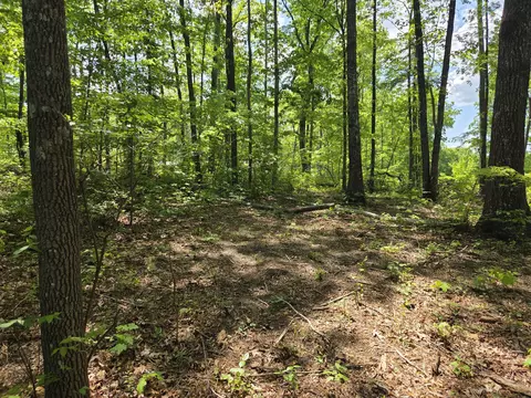 000 Ski View Dr, Dunlap, TN 37327 photo 5