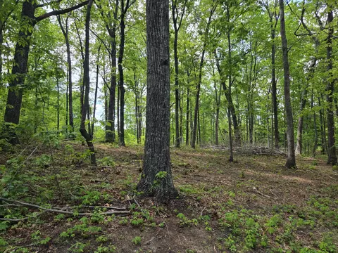 000 Ski View Dr, Dunlap, TN 37327