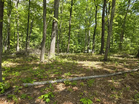 000 Ski View Dr, Dunlap, TN 37327 photo 3
