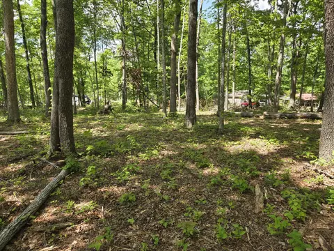 000 Ski View Dr, Dunlap, TN 37327 photo 4
