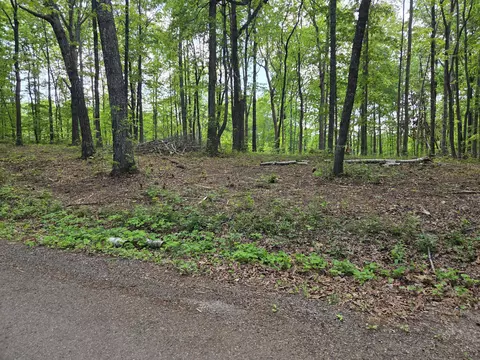 000 Ski View Dr, Dunlap, TN 37327 photo 2