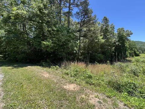 01 Lake Vw, New Hope, TN 37380