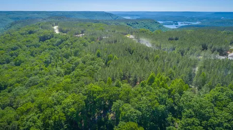 0 Split Rail Way #1349, Guild, TN 37340 photo 53