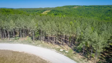 0 Split Rail Way #1349, Guild, TN 37340 photo 35