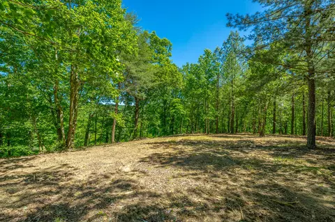 0 Split Rail Way #1349, Guild, TN 37340 photo 6