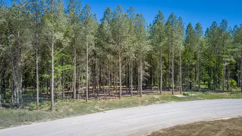 0 Split Rail Way #1349, Guild, TN 37340 photo 30