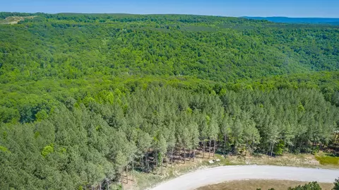 0 Split Rail Way #1349, Guild, TN 37340 photo 57