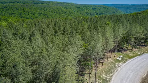 0 Split Rail Way #1349, Guild, TN 37340 photo 39