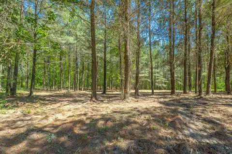 0 Split Rail Way #1349, Guild, TN 37340 photo 11
