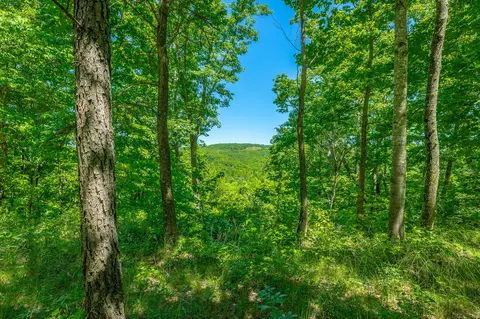 0 Split Rail Way #1349, Guild, TN 37340 photo 7