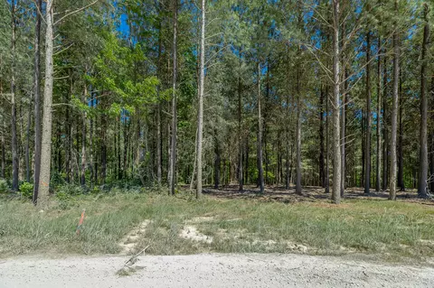 0 Split Rail Way #1349, Guild, TN 37340 photo 16