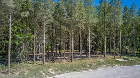 0 Split Rail Way #1349, Guild, TN 37340 photo 32