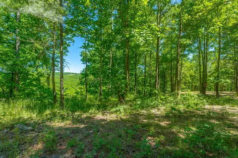0 Split Rail Way #1349, Guild, TN 37340 photo 8