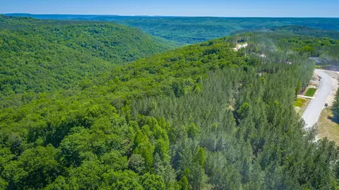 0 Split Rail Way #1349, Guild, TN 37340 photo 55