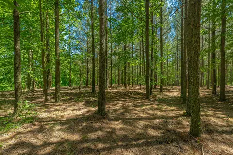 0 Split Rail Way #1349, Guild, TN 37340 photo 12