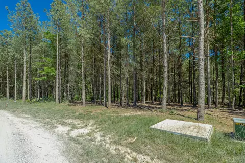 0 Split Rail Way #1349, Guild, TN 37340 photo 20
