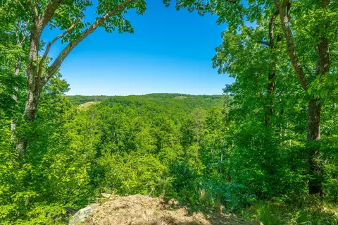0 Split Rail Way #1349, Guild, TN 37340 photo 3