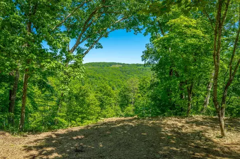 0 Split Rail Way #1349, Guild, TN 37340 photo 4