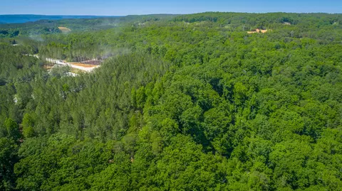 0 Split Rail Way #1349, Guild, TN 37340 photo 50