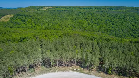 0 Split Rail Way #1349, Guild, TN 37340 photo 44