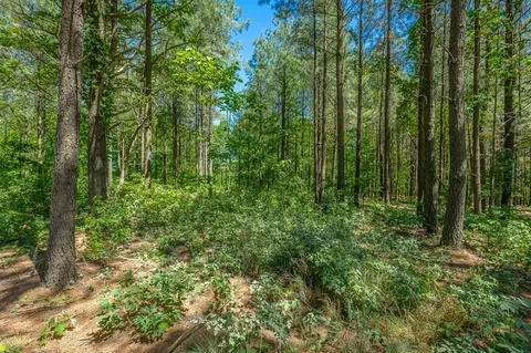 0 Split Rail Way #1349, Guild, TN 37340 photo 10