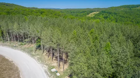 0 Split Rail Way #1349, Guild, TN 37340 photo 37