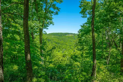 0 Split Rail Way #1349, Guild, TN 37340 photo 5