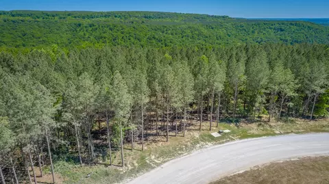 0 Split Rail Way #1349, Guild, TN 37340 photo 38