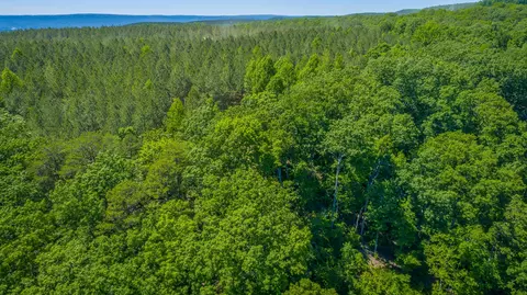 0 Split Rail Way #1349, Guild, TN 37340 photo 42