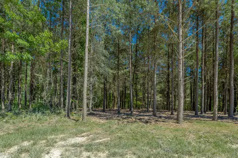 0 Split Rail Way #1349, Guild, TN 37340 photo 17