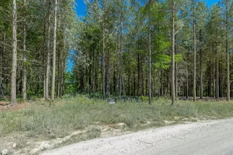 0 Split Rail Way #1349, Guild, TN 37340 photo 24